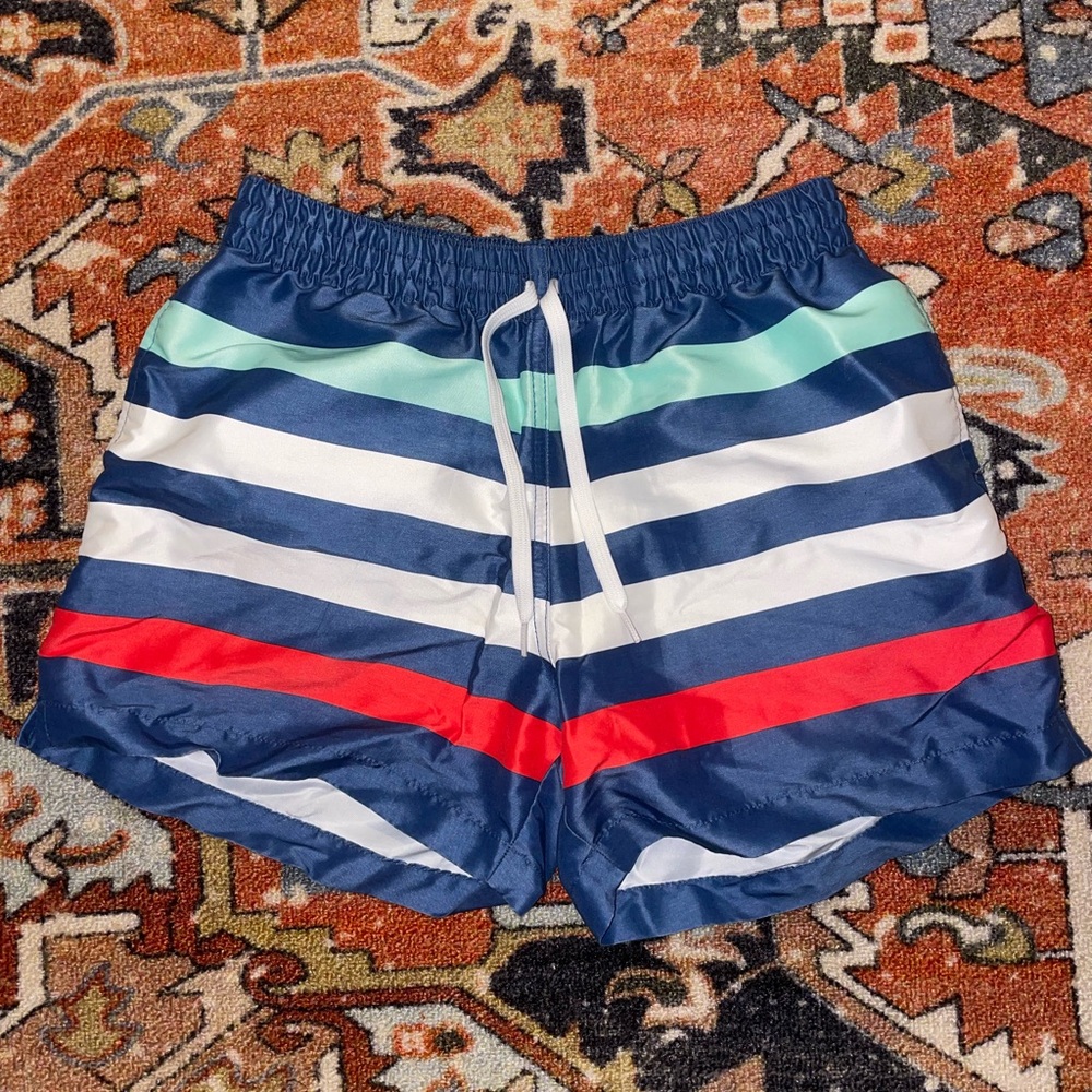 Chubbies Multicolor Striped Swim Trunks